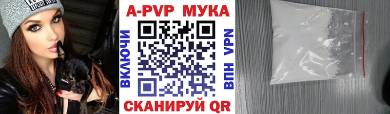 A PVP СК  Городец 