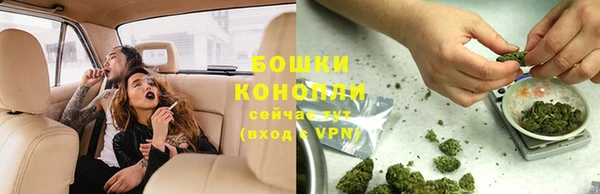 молекула духа Белоозёрский