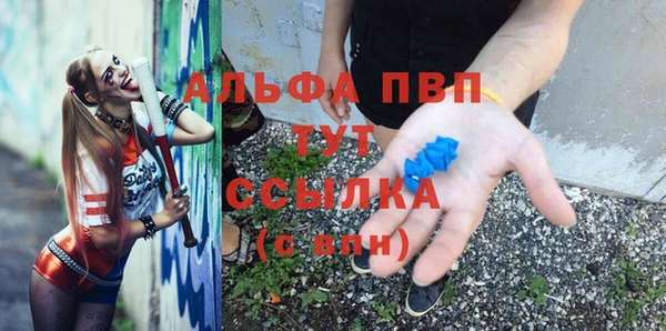 сатива Белокуриха