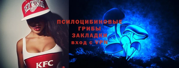 молекула духа Белоозёрский