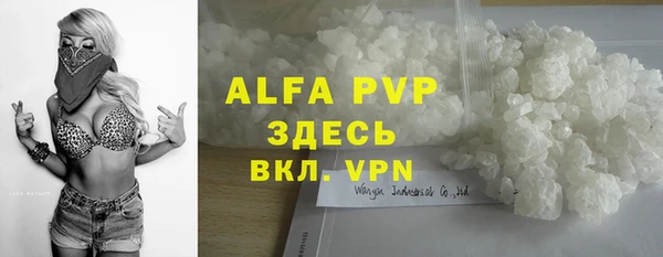 сатива Белокуриха