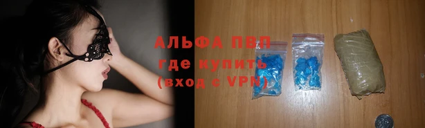 прущие крисы Беломорск