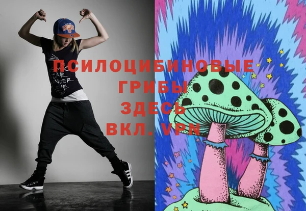 молекула духа Белоозёрский