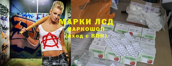 сатива Белокуриха