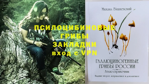 молекула духа Белоозёрский