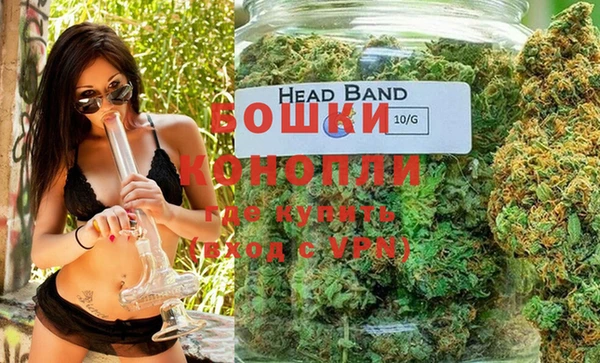 сатива Белокуриха